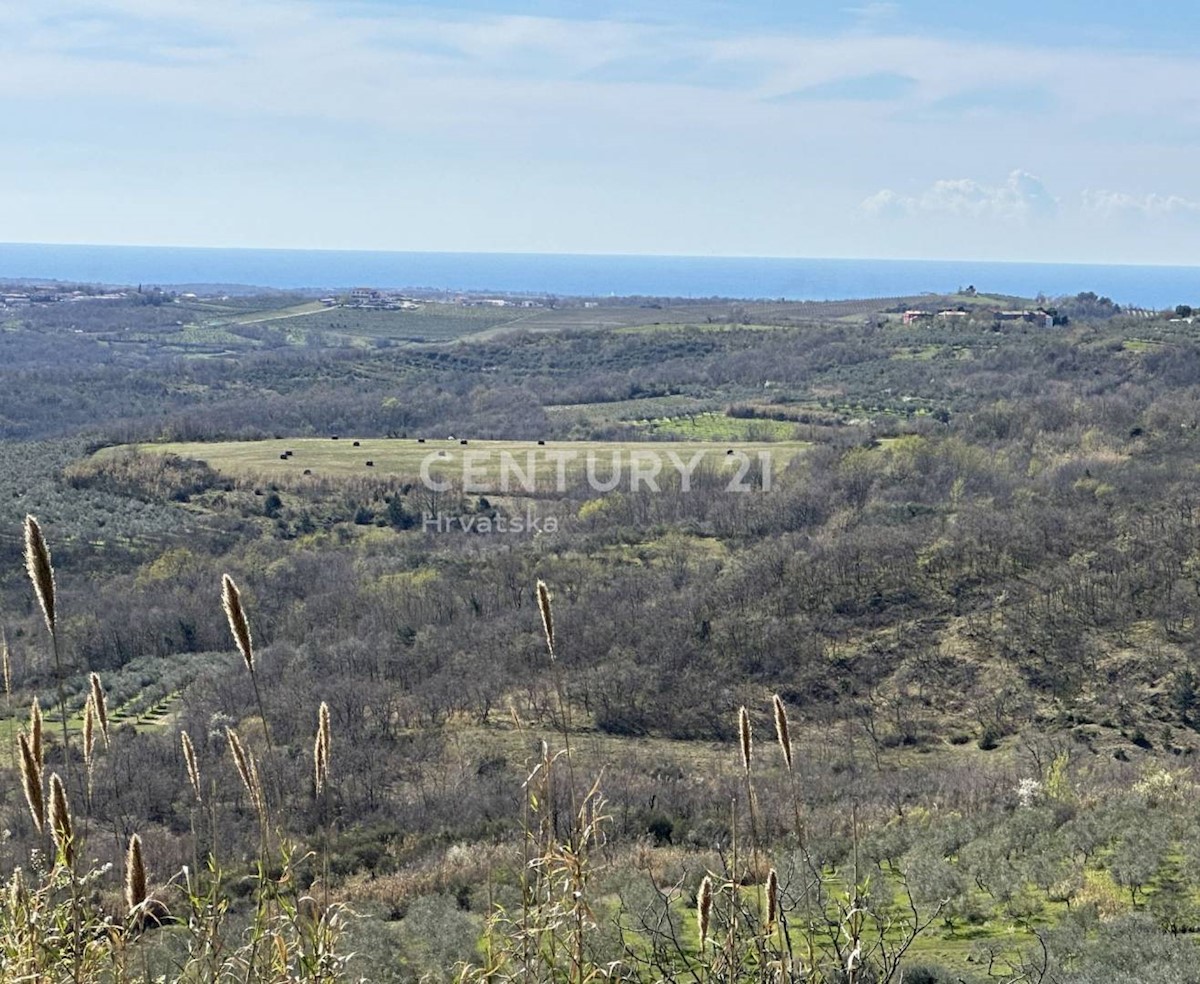 Land For sale - ISTARSKA GROŽNJAN