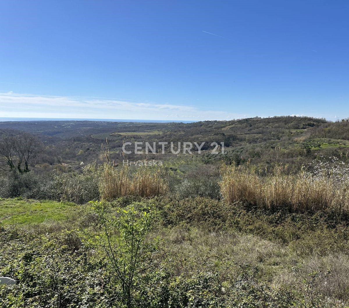 Land For sale - ISTARSKA GROŽNJAN