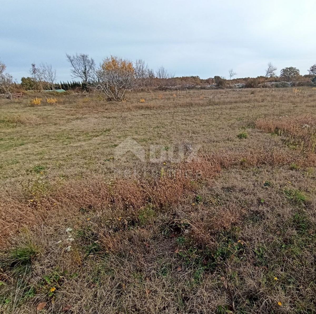 Terreno In vendita - ISTARSKA SVETVINČENAT