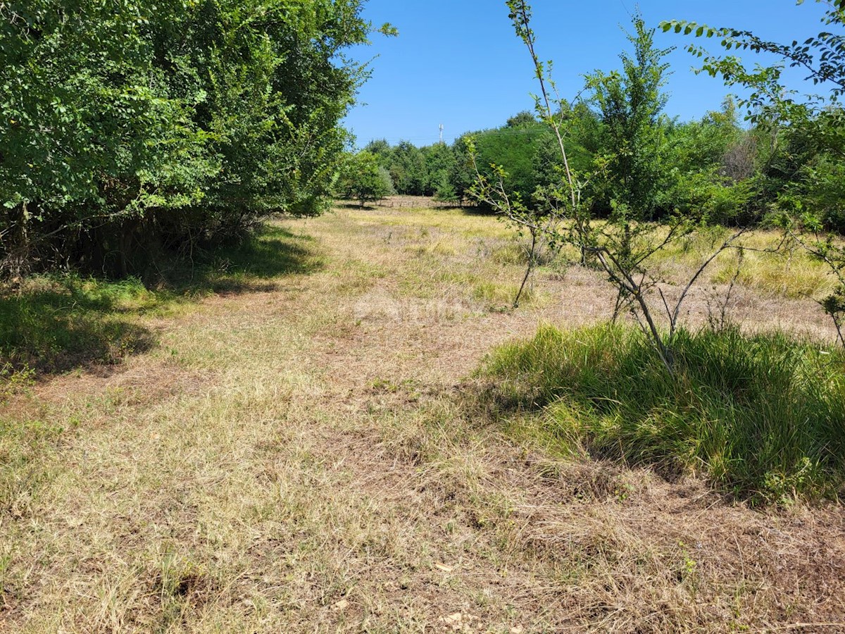 Land For sale BRTONIGLA