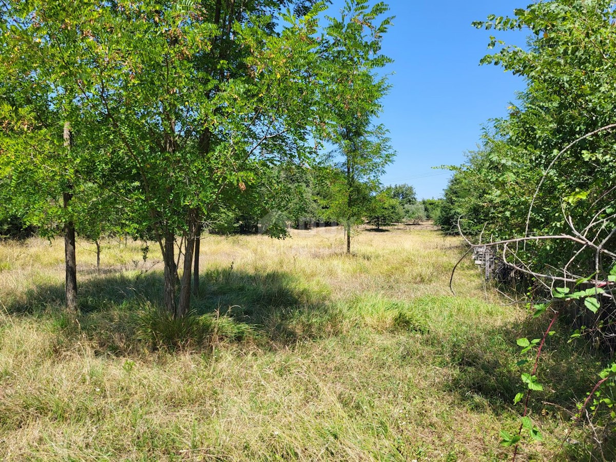 Parcela Naprodaj - ISTARSKA Brtonigla