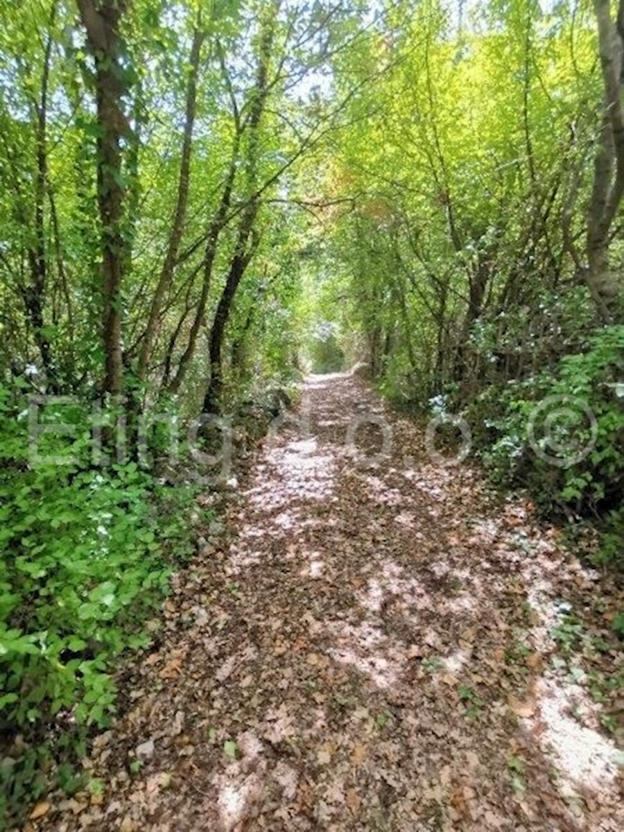 Dom Na sprzedaż - ISTARSKA ŽMINJ