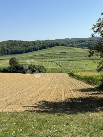 Działka na sprzedaż 52628 m² – Pupelica