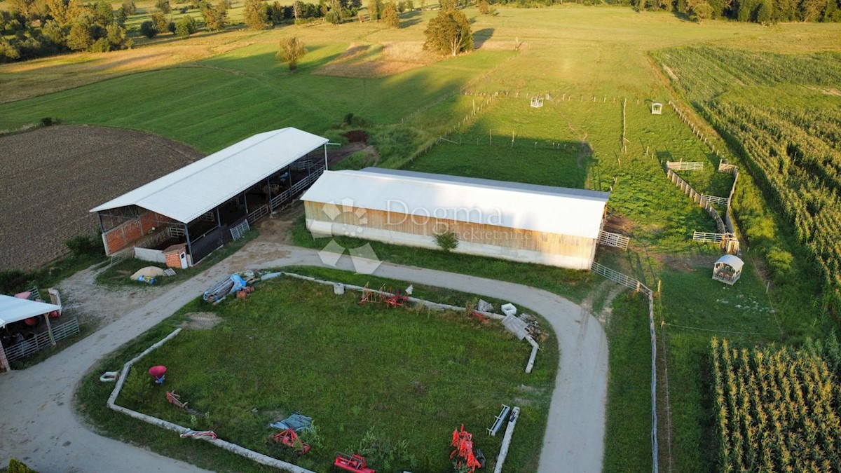 Maison À vendre - Sisačko-moslavačka Gvozd - foto 3/17