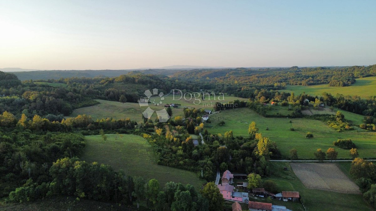 Maison À vendre - Sisačko-moslavačka Gvozd - foto 4/17