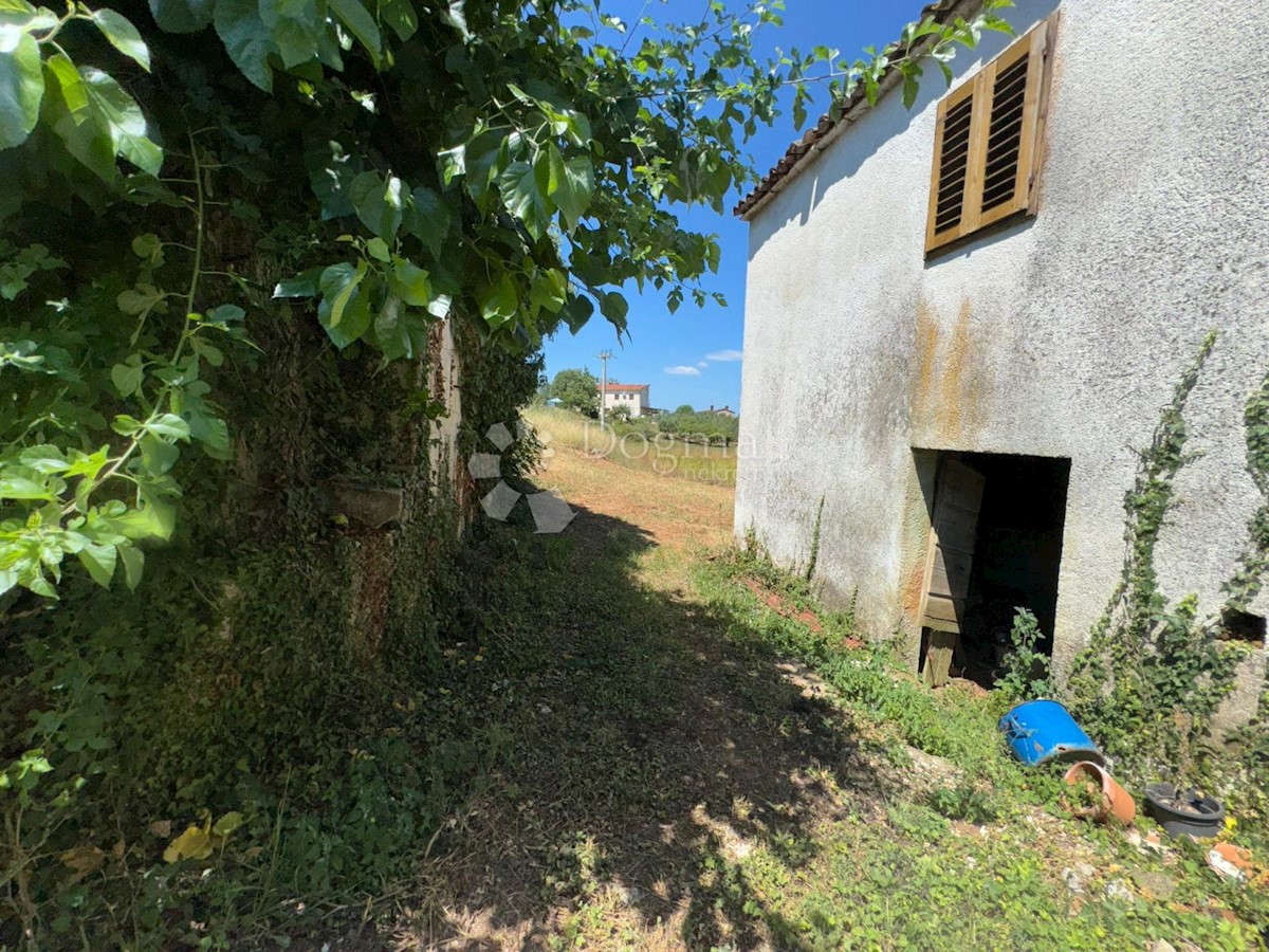 Terreno In vendita - ISTARSKA KAROJBA