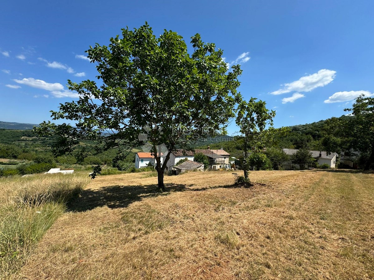 Terreno In vendita - ISTARSKA KAROJBA