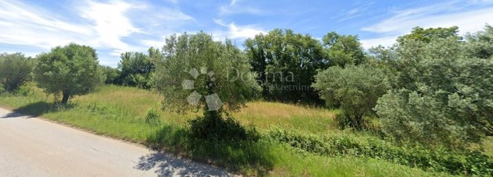 Terreno in vendita 3060 m² – Bale