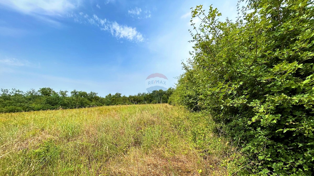 Terrain À vendre