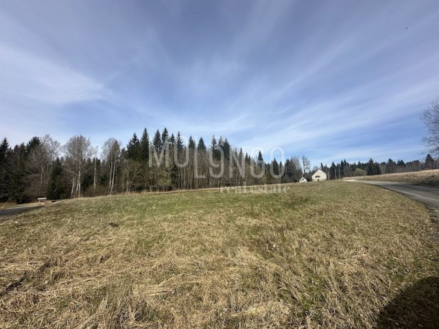 Grundstück Zu verkaufen - Primorsko-goranska Ravna Gora - foto 2/2