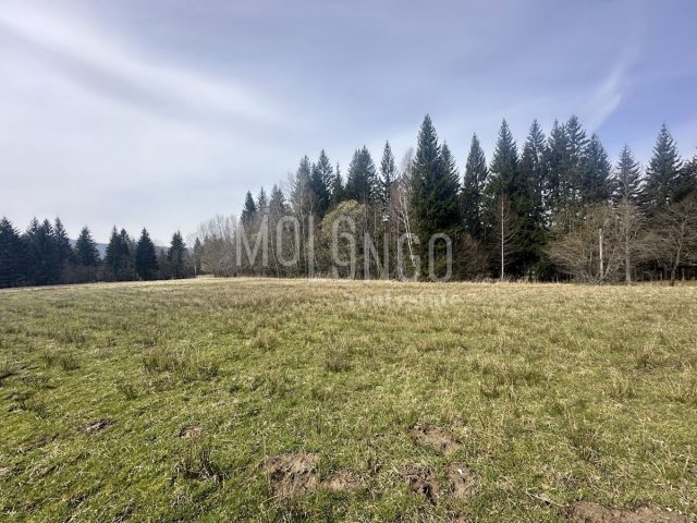 Parcela Naprodaj - Primorsko-goranska Ravna Gora - foto 3/3