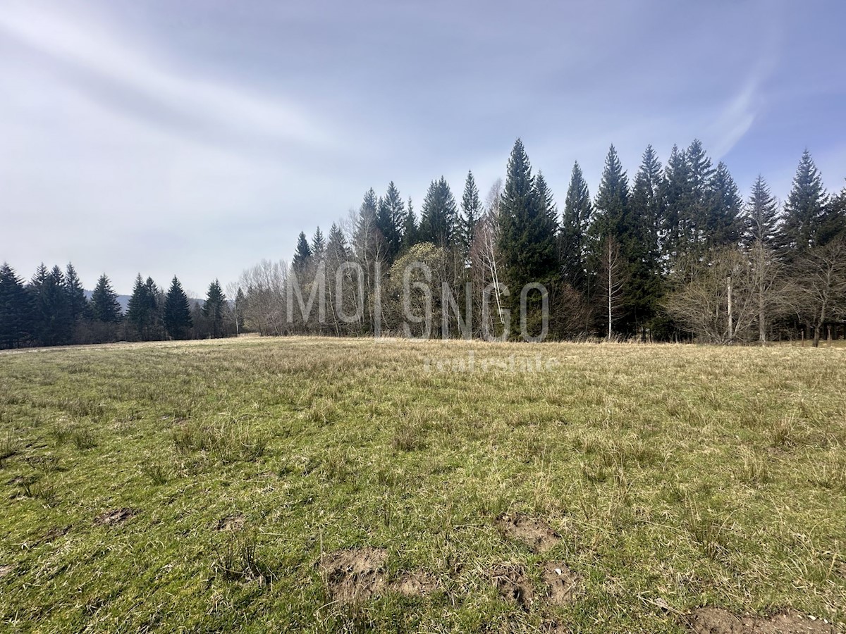 Land For sale - PRIMORSKO-GORANSKA RAVNA GORA