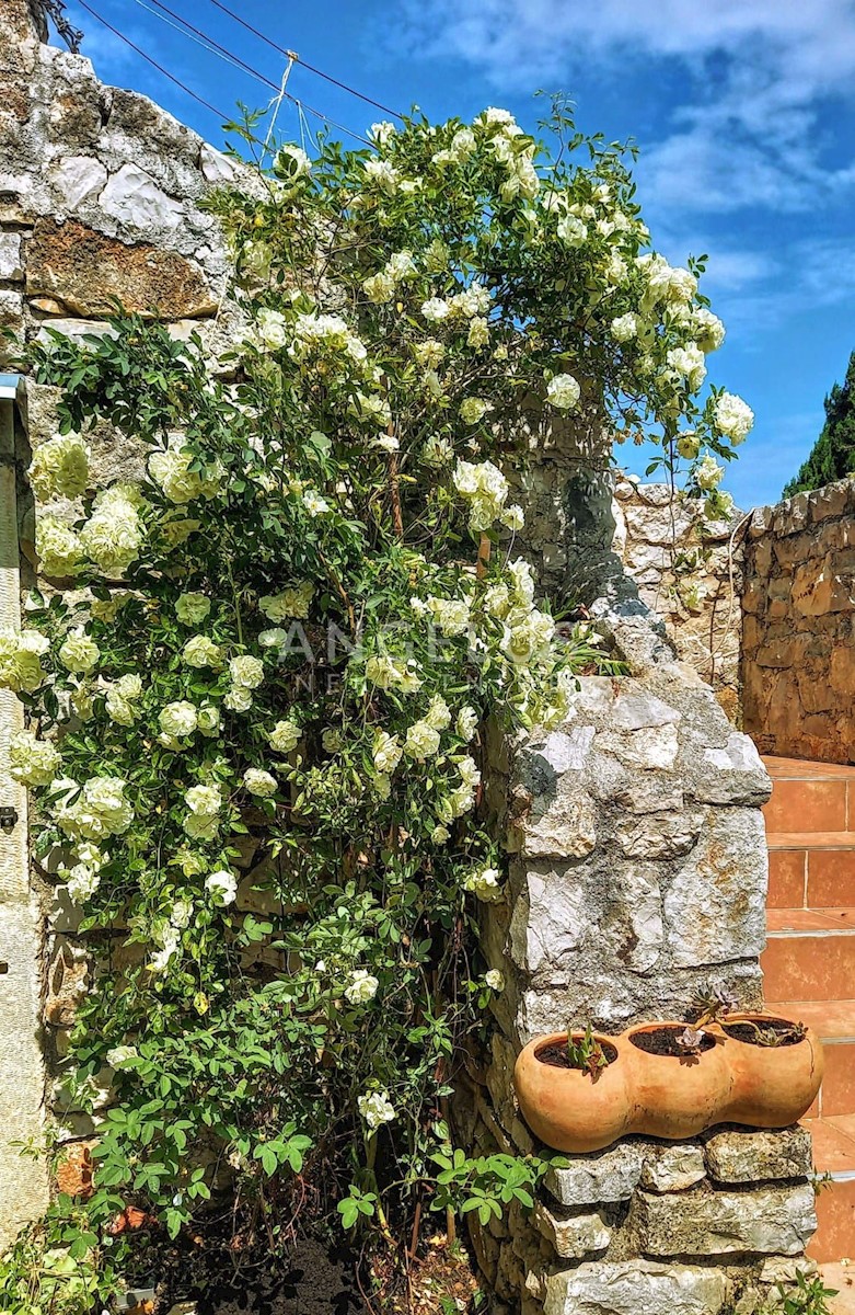 Casa Da affittare - ISTARSKA POREČ