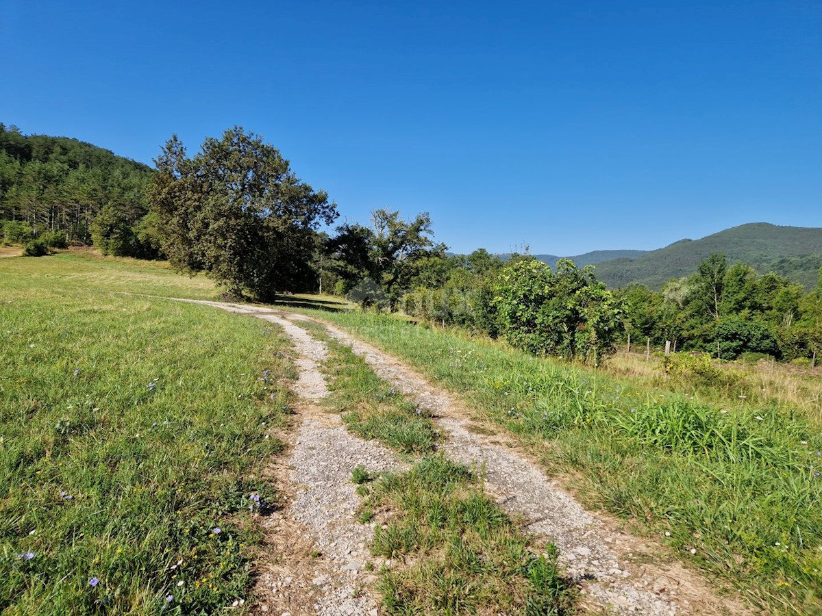 Pozemok Na predaj - ISTARSKA BUZET