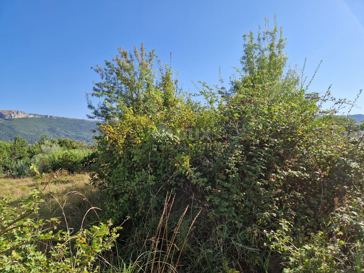Pozemok Na predaj - ISTARSKA BUZET