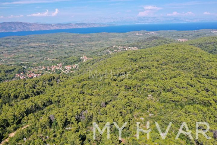 Parcela na predaj 6704 m² – Dol