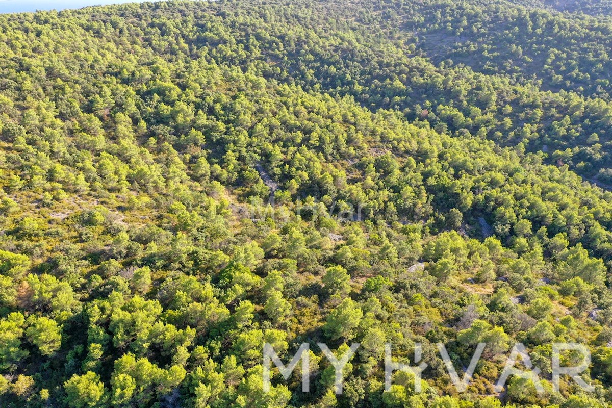 Terrain À vendre - SPLITSKO-DALMATINSKA STARI GRAD