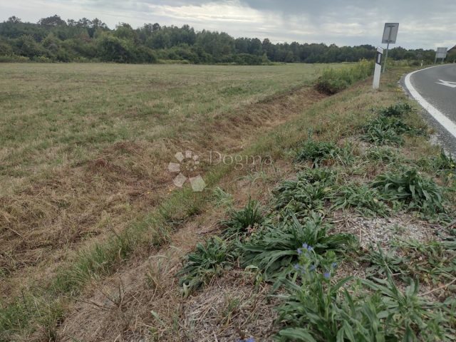 Pozemok na predaj 3885 m² – Donja Čemernica