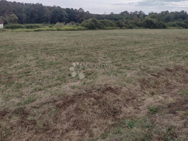 Land For sale - Sisačko-moslavačka Topusko - foto 2/3