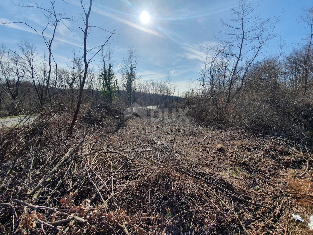 Terreno In vendita - ISTARSKA PAZIN