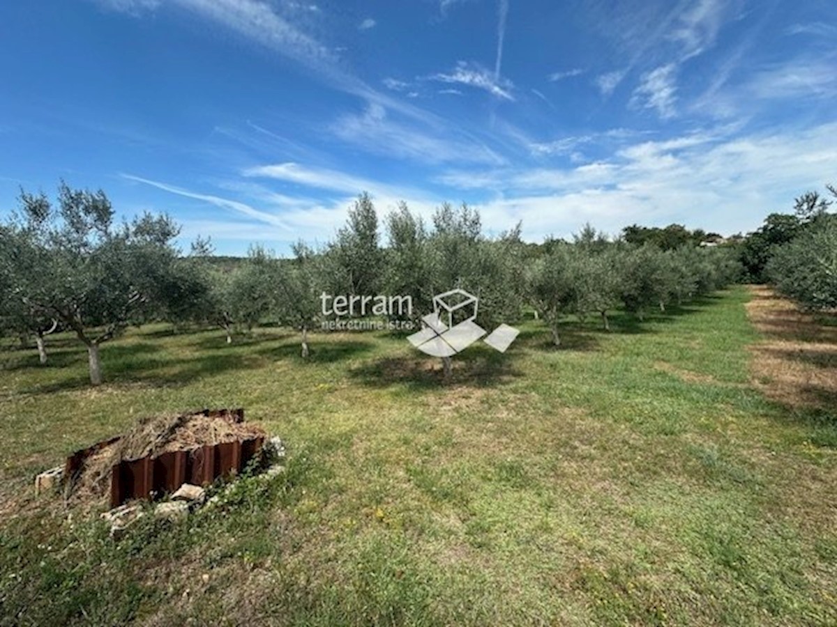 Terrain À vendre - Istarska Ližnjan - foto 5/8