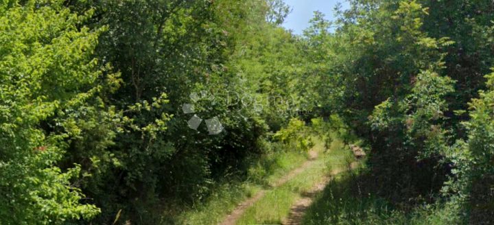 Pozemek na prodej 8179 m² – Juršići