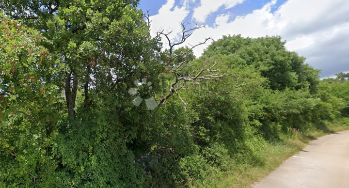 Pozemek na prodej 26225 m² – Juršići