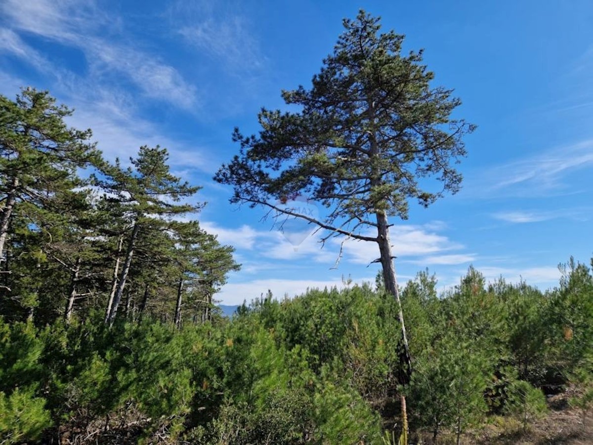 Zemljište Na prodaju - ŠIBENSKO-KNINSKA SKRADIN