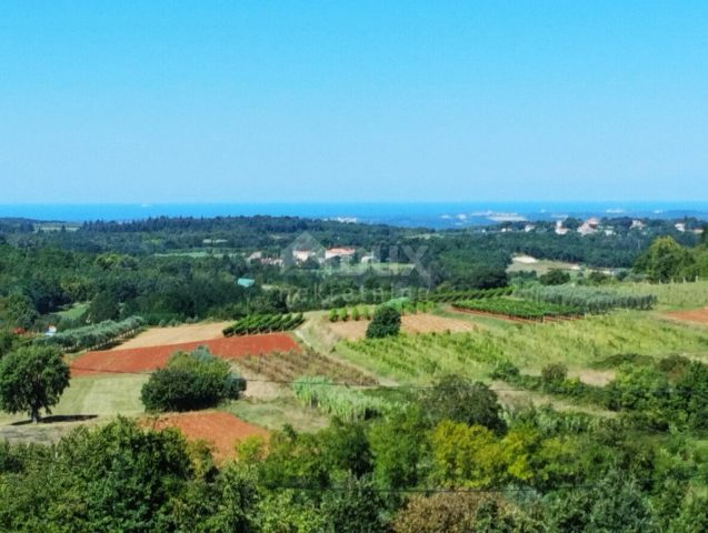 Hiša Naprodaj - Istarska Vižinada - foto 3/16