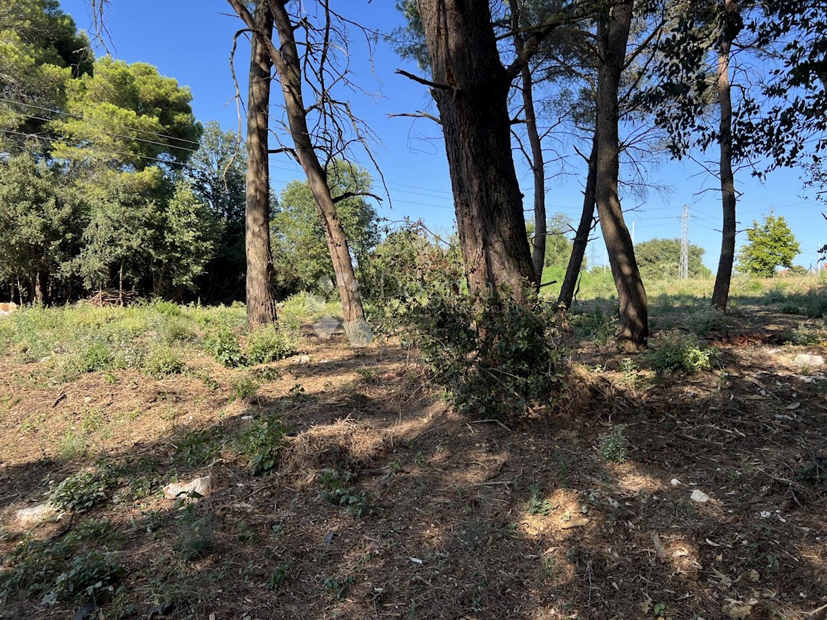 Terreno In vendita - ISTARSKA MEDULIN