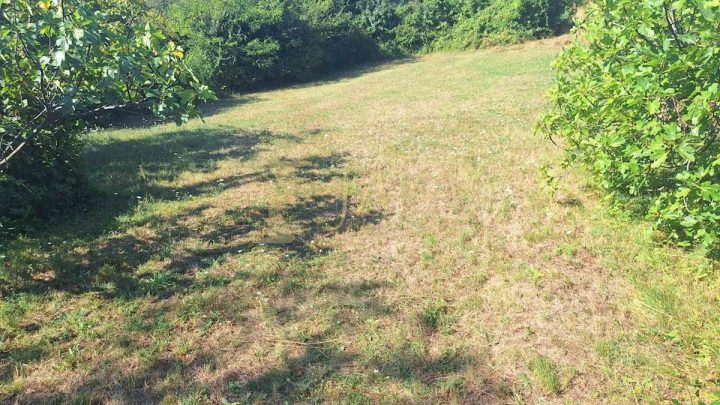 Grundstück zu verkaufen 3412 m² – Drenova