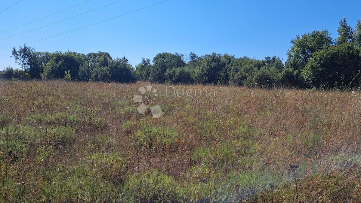 Land For sale - ISTARSKA VODNJAN