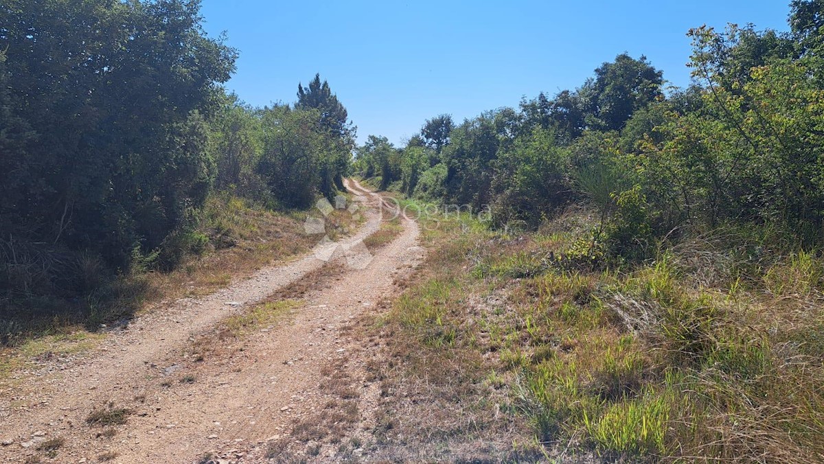 Land For sale - ISTARSKA VODNJAN