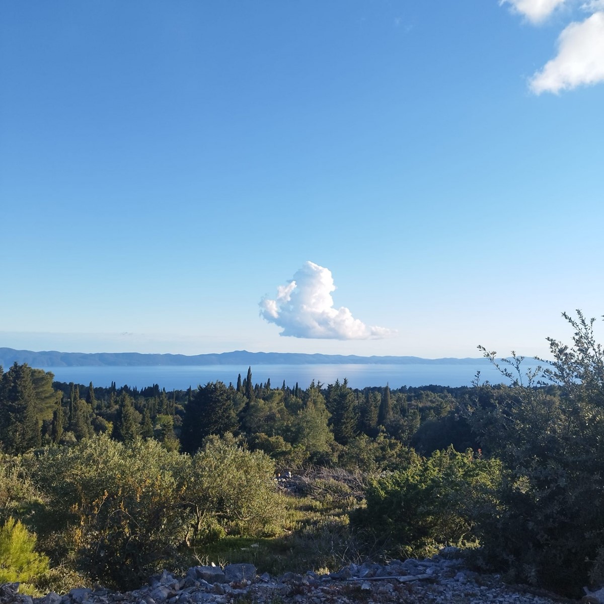 Terreno In vendita - SPLITSKO-DALMATINSKA JELSA