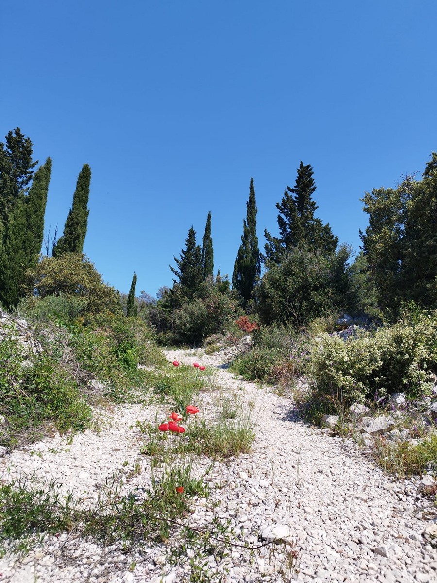 Terreno In vendita - SPLITSKO-DALMATINSKA JELSA