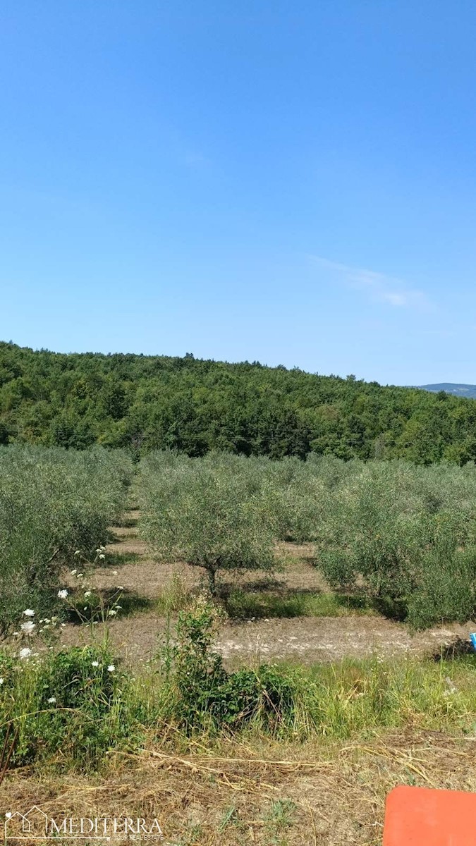 Terreno In vendita - ISTARSKA VIŽINADA