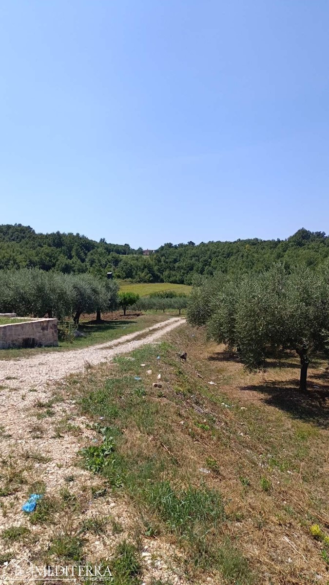 Terrain À vendre - ISTARSKA VIŽINADA