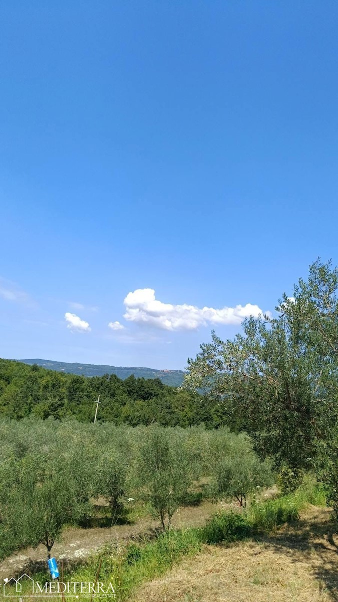 Terreno In vendita - ISTARSKA VIŽINADA