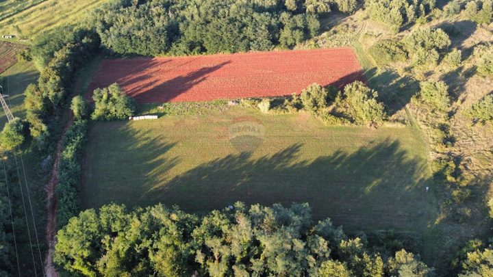 Działka na sprzedaż 25109 m² – Brtonigla
