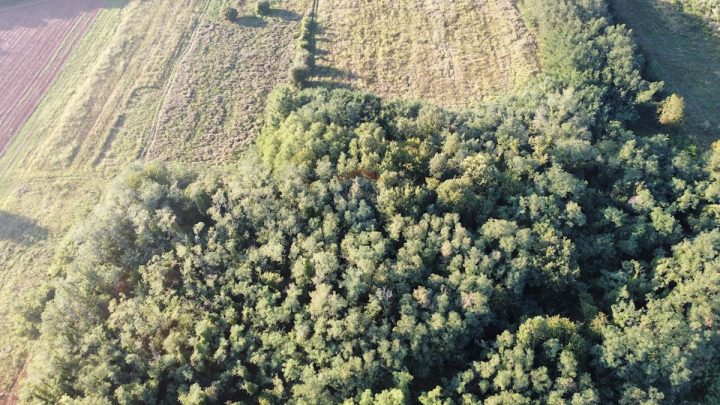 Parcela Naprodaj - Istarska Brtonigla - foto 2/3