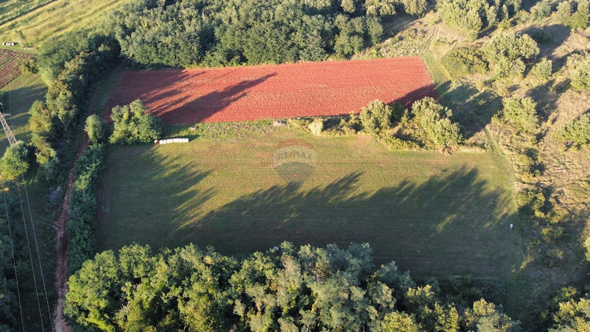 Land For sale BRTONIGLA