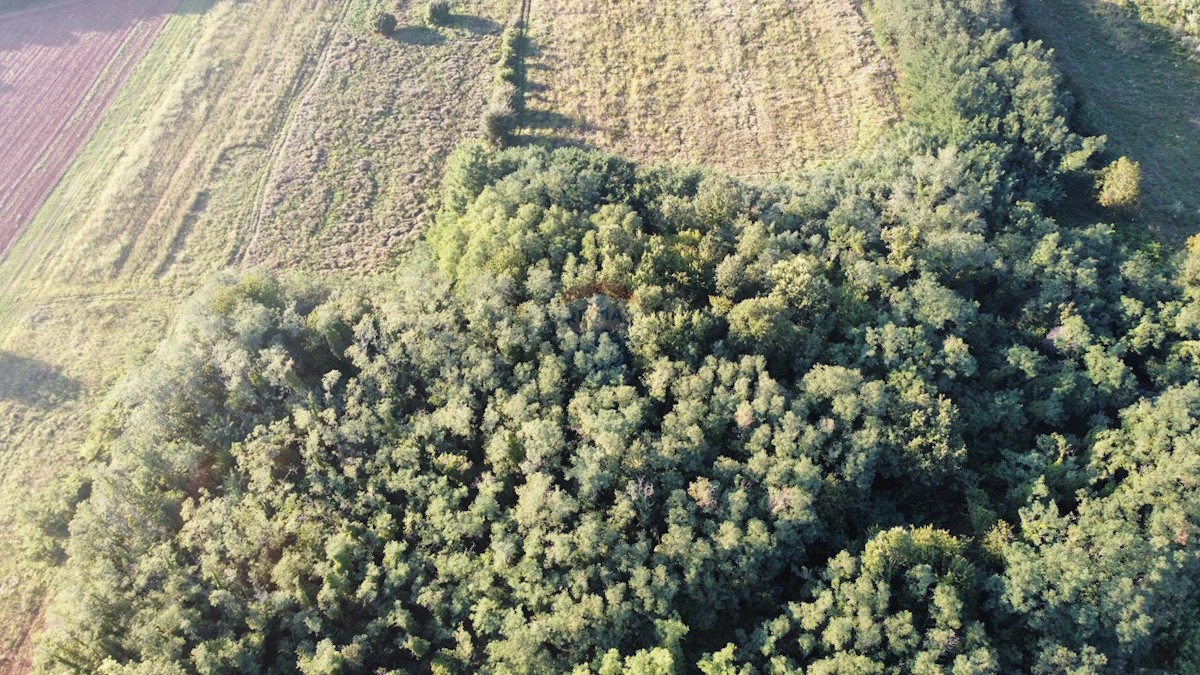 Terreno In vendita - ISTARSKA BRTONIGLA