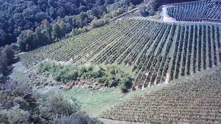 Terrain à vendre 30526 m² – Križanče