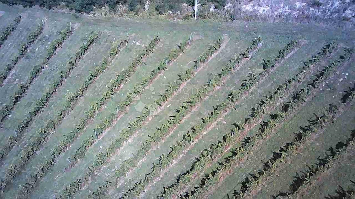 Terrain À vendre - KRAPINSKO-ZAGORSKA BEDEKOVČINA
