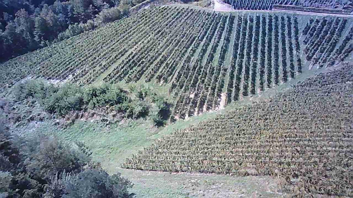 Terrain À vendre - KRAPINSKO-ZAGORSKA BEDEKOVČINA