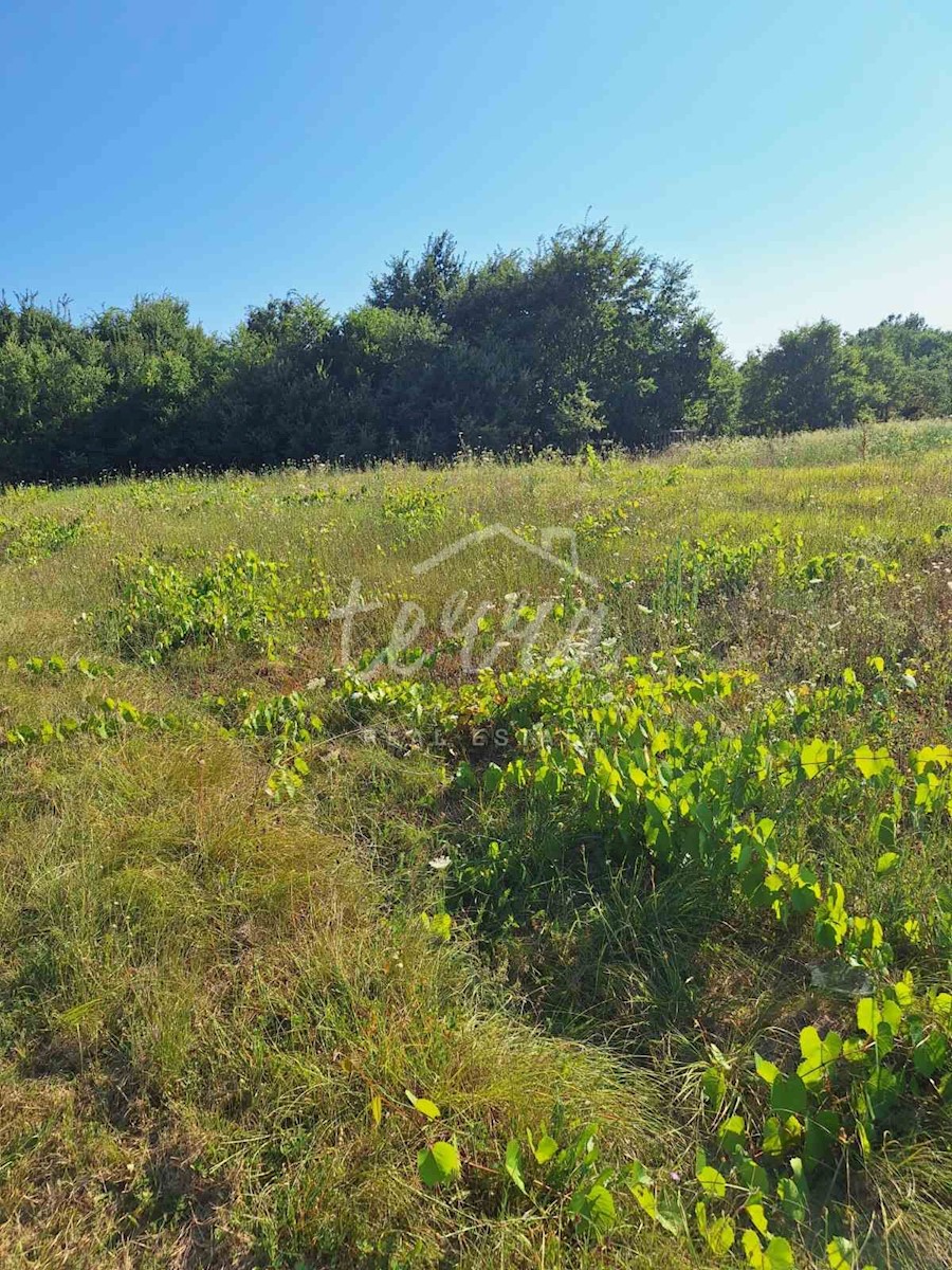 House For sale - ISTARSKA LABIN
