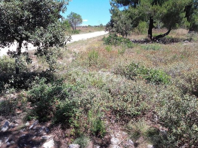 Terreno In vendita - Zadarska Vir - foto 2/3