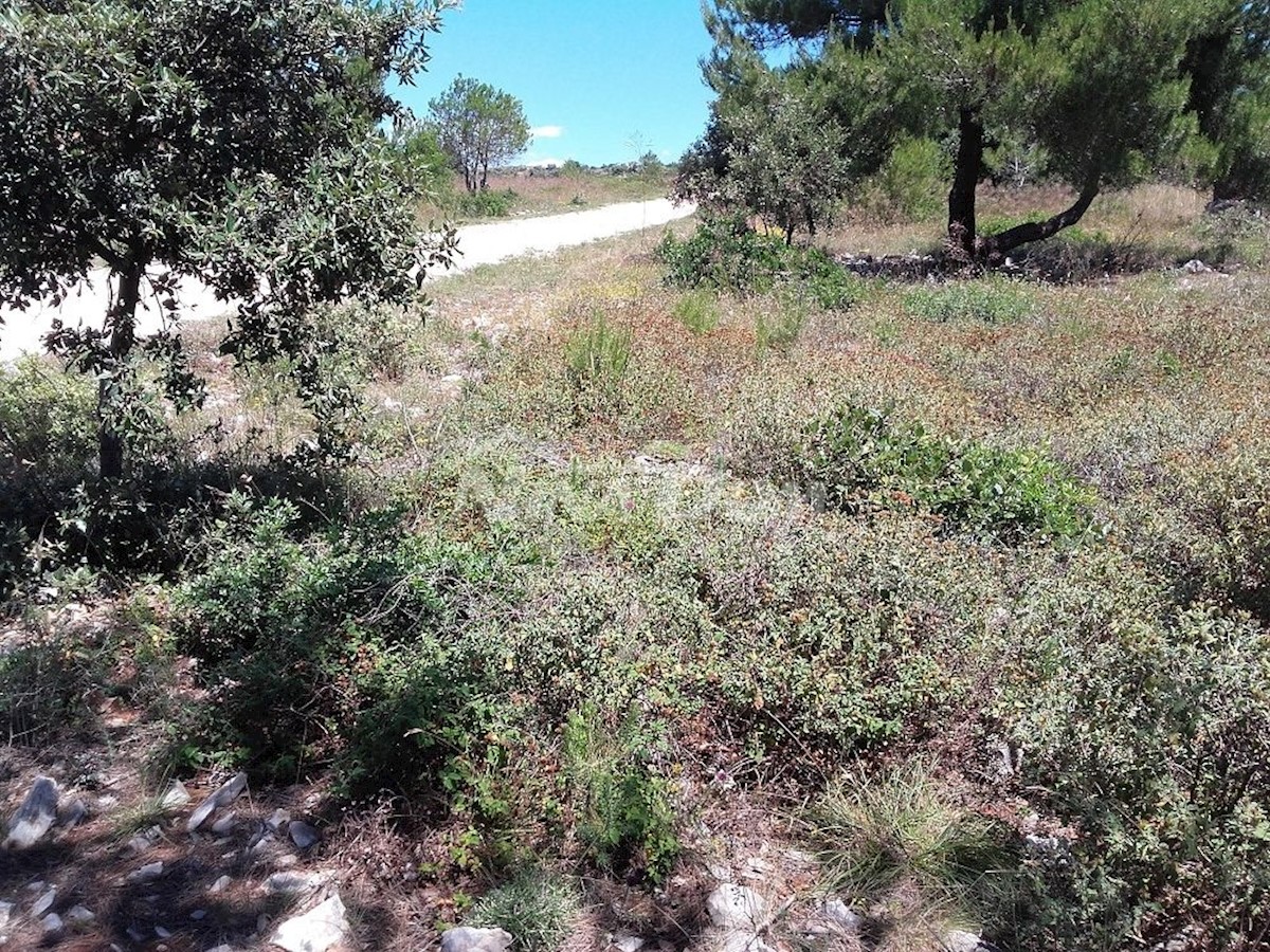 Terreno In vendita - Zadarska Vir - foto 2/3
