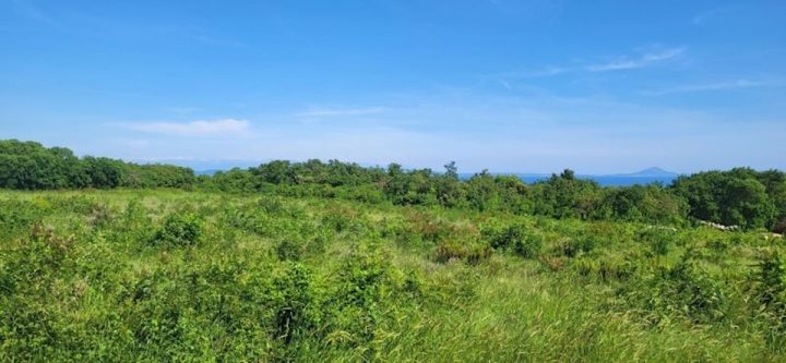 Pozemek na prodej 1600 m² – Krnica