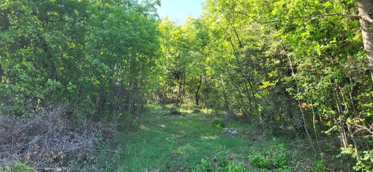 Land For sale - ISTARSKA MARČANA